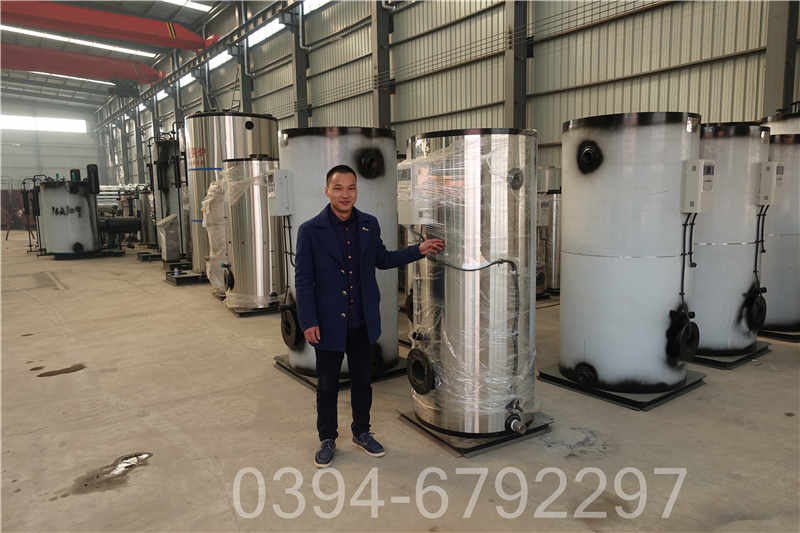 兩噸柴油鍋爐(圖3)