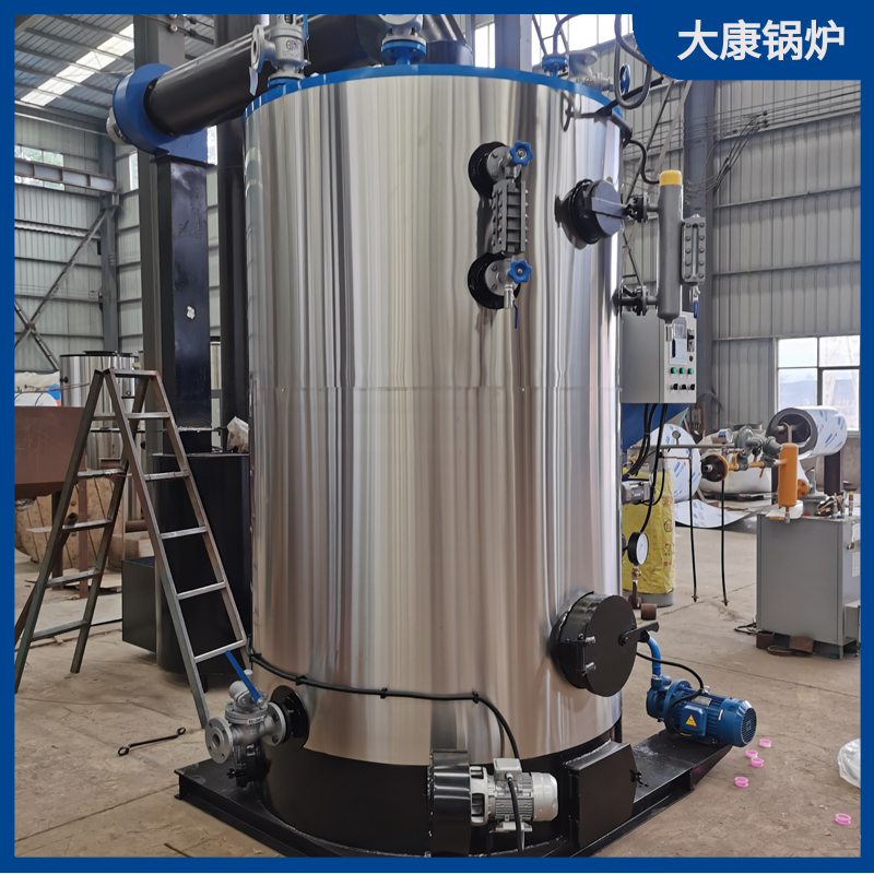 生物質(zhì)能顆粒 鍋爐