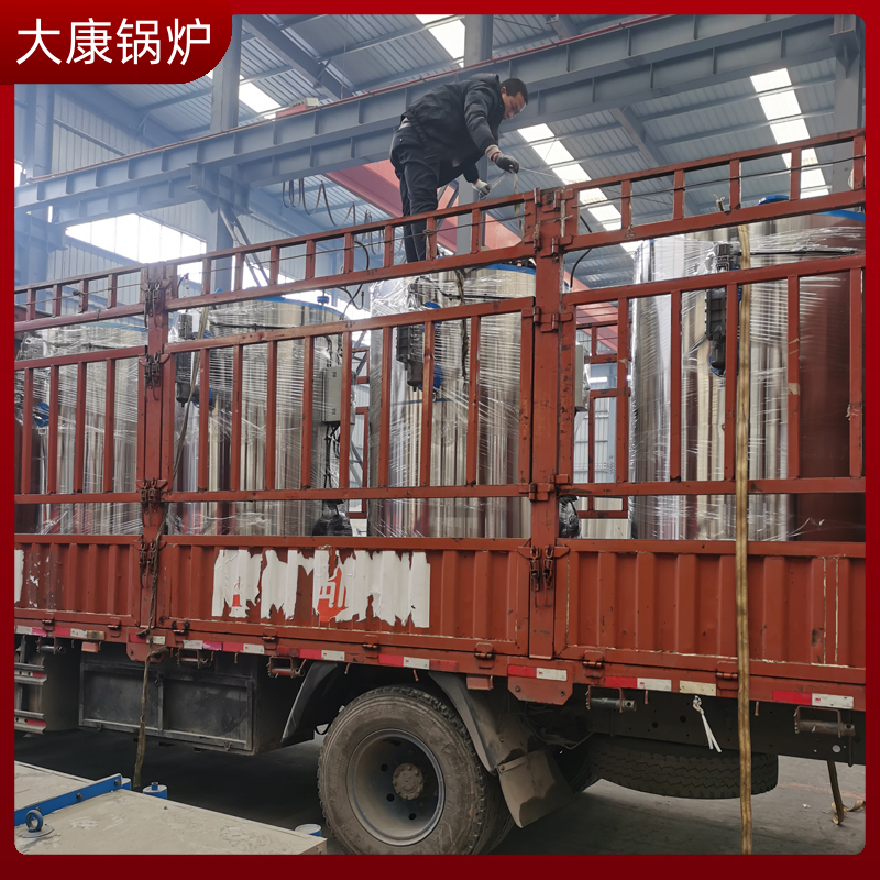 大型工業(yè)導(dǎo)熱油鍋爐