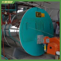 山東20t小型鍋爐