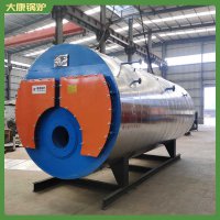 山東cwzk7冷凝導熱油爐