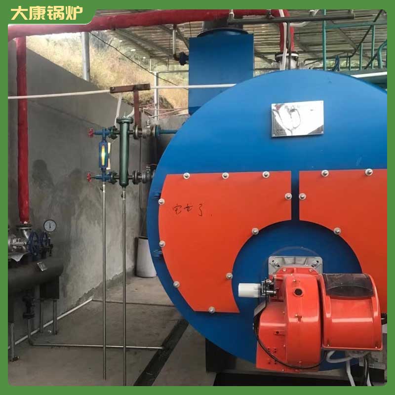 立式燃煤導熱油鍋爐