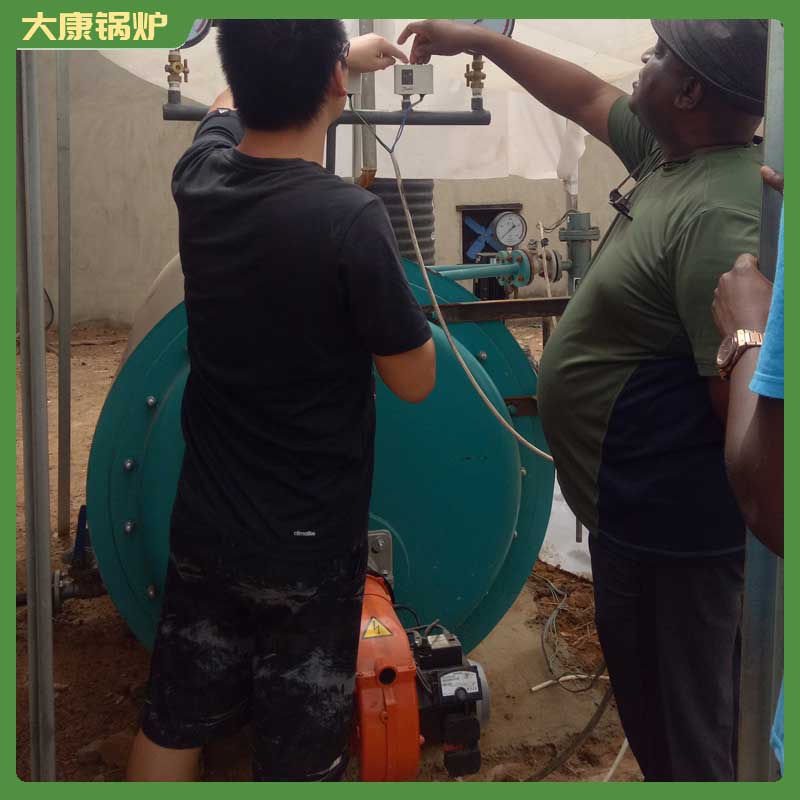 生物質爐排鍋爐